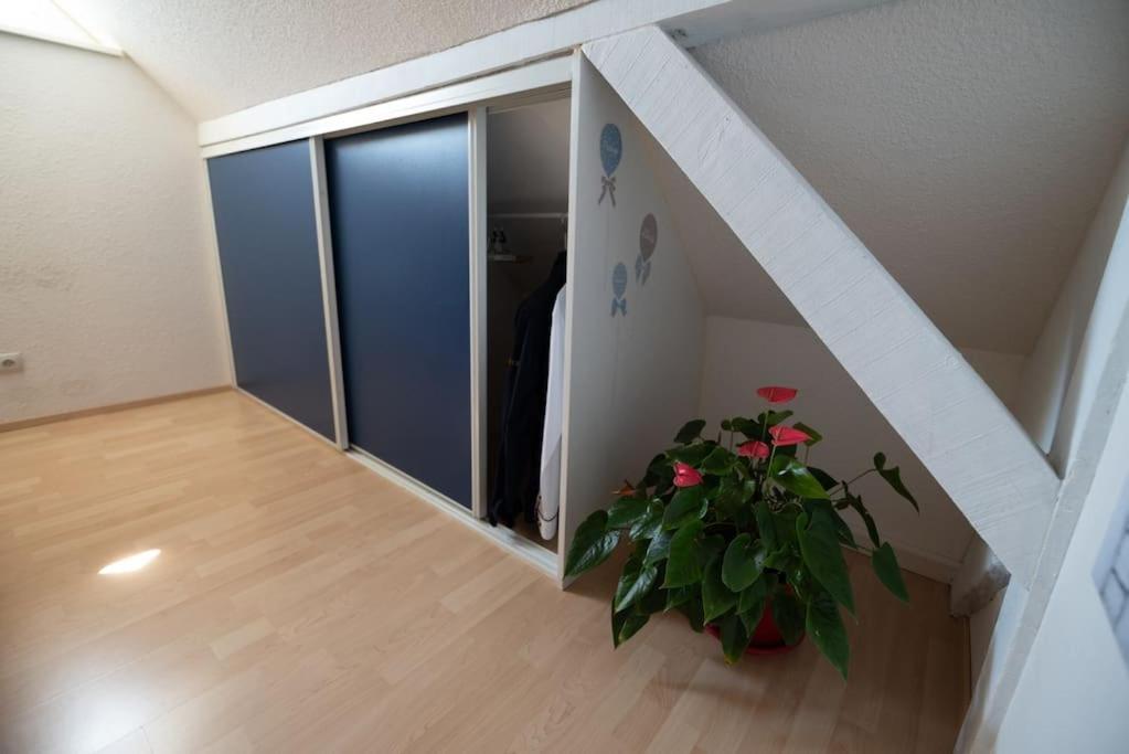 Gite Les Lavandieres Saasenheim Extérieur photo