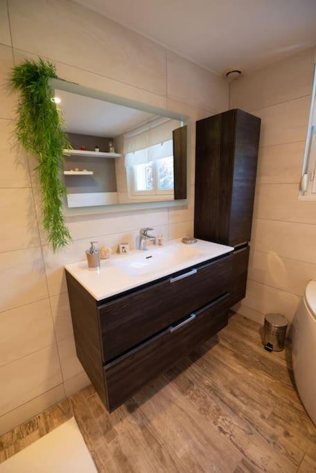 Gite Les Lavandieres Saasenheim Extérieur photo