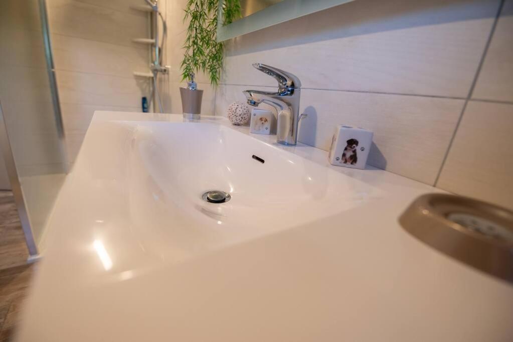 Gite Les Lavandieres Saasenheim Extérieur photo